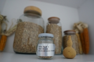 TÜRKİYE'NİN 5. YEREL TOHUM MERKEZİ BODRUM'DA AÇILDI