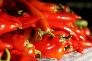 ÜRETİCİ PAZARLARINA İLGİ HER GEÇEN GÜN ARTIYOR