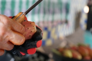 ÜRETİCİ PAZARLARINA İLGİ HER GEÇEN GÜN ARTIYOR