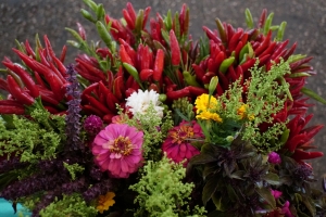 ÜRETİCİ PAZARLARINA İLGİ HER GEÇEN GÜN ARTIYOR