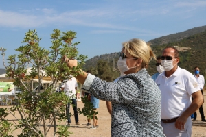 BODRUM’DA SAHİLLER AĞAÇLANDIRILIYOR