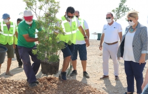 BODRUM’DA SAHİLLER AĞAÇLANDIRILIYOR