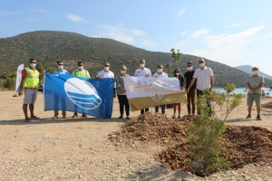 BODRUM’DA SAHİLLER AĞAÇLANDIRILIYOR
