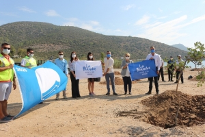 BODRUM’DA SAHİLLER AĞAÇLANDIRILIYOR