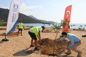BODRUM’DA SAHİLLER AĞAÇLANDIRILIYOR
