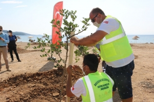 BODRUM’DA SAHİLLER AĞAÇLANDIRILIYOR