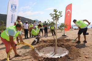 BODRUM’DA SAHİLLER AĞAÇLANDIRILIYOR