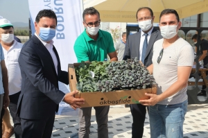 BODRUM BELEDİYESİ 140 BİN KIŞLIK FİDEYİ ÜRETİCİLERE HİBE ETTİ