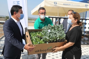 BODRUM BELEDİYESİ 140 BİN KIŞLIK FİDEYİ ÜRETİCİLERE HİBE ETTİ