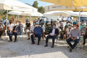 BODRUM BELEDİYESİ 140 BİN KIŞLIK FİDEYİ ÜRETİCİLERE HİBE ETTİ