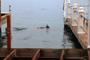 TÜRKBÜKÜ'NDE SEZON SONU TEMİZLİĞİ