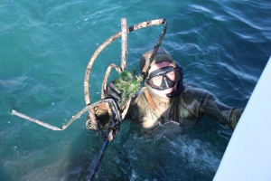 DALGIÇLAR TEMİZLİK ÖNCESİ TÜRK BAYRAĞI AÇTI