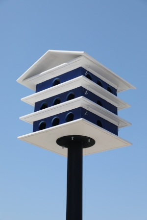 GÜVERCİN YUVALARININ YERLEŞTİRİLMESİNE GÜVERCİNLİK MAHALLESİ'NDEN BAŞLANDI