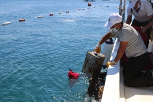 TÜRKBÜKÜ SAHİLİNDE DENİZ DİBİ TEMİZLİĞİ