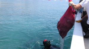 TÜRKBÜKÜ SAHİLİNDE DENİZ DİBİ TEMİZLİĞİ