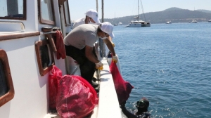 TÜRKBÜKÜ SAHİLİNDE DENİZ DİBİ TEMİZLİĞİ