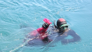 TÜRKBÜKÜ SAHİLİNDE DENİZ DİBİ TEMİZLİĞİ