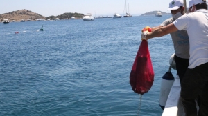 TÜRKBÜKÜ SAHİLİNDE DENİZ DİBİ TEMİZLİĞİ