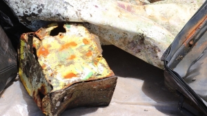 TÜRKBÜKÜ SAHİLİNDE DENİZ DİBİ TEMİZLİĞİ