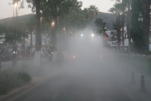 KURBAN KESİM YERLERİ İLE CADDE VE SOKAKLAR DEZENFEKTE EDİLDİ