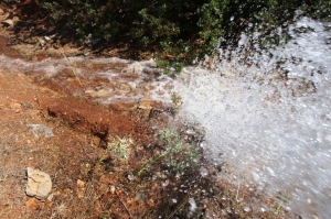 BELEDİYE CANSUYU OLMAYA DEVAM EDİYOR