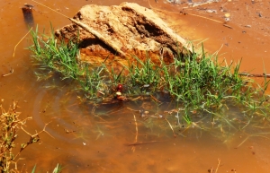 BELEDİYE CANSUYU OLMAYA DEVAM EDİYOR