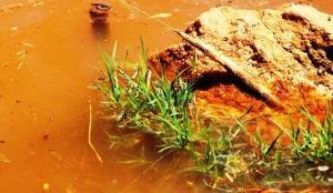 BELEDİYE CANSUYU OLMAYA DEVAM EDİYOR