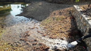 BELEDİYE CANSUYU OLMAYA DEVAM EDİYOR