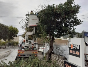 TEHLİKE ARZ EDEN DALLARA MÜDAHALE