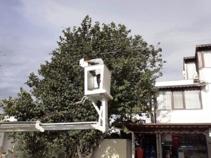 TEHLİKE ARZ EDEN DALLARA MÜDAHALE