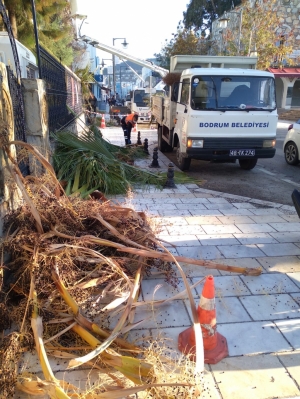 TEHLİKE ARZ EDEN DALLARA MÜDAHALE