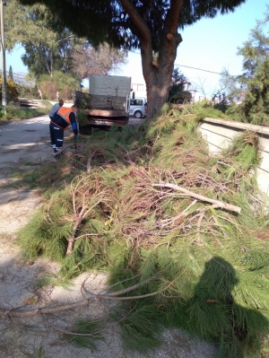 TEHLİKE ARZ EDEN DALLARA MÜDAHALE