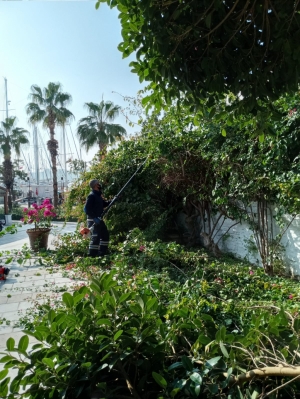 TEHLİKE ARZ EDEN DALLARA MÜDAHALE