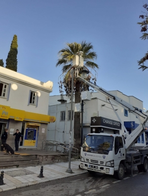 TEHLİKE ARZ EDEN DALLARA MÜDAHALE