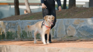 ONLARIN DA ARTIK BİR PARKI VAR