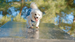 ONLARIN DA ARTIK BİR PARKI VAR