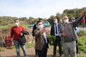 TARIMSAL ÇALIŞMALARI YERİNDE İNCELEDİLER