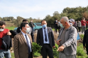 TARIMSAL ÇALIŞMALARI YERİNDE İNCELEDİLER