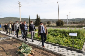 TARIMSAL ÇALIŞMALARI YERİNDE İNCELEDİLER