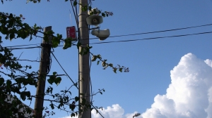 BODRUM BELEDİYESİ SANAT GÜNEŞİNİ UNUTMADI