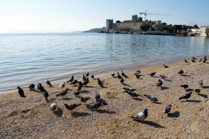 BODRUM BELEDİYESİ SANAT GÜNEŞİNİ UNUTMADI