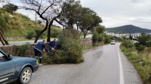 DEVRİLEN AĞAÇLARA BELEDİYE EKİPLERİNDEN MÜDAHALE