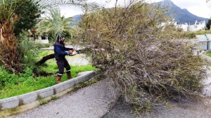 DEVRİLEN AĞAÇLARA BELEDİYE EKİPLERİNDEN MÜDAHALE