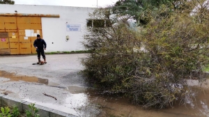 DEVRİLEN AĞAÇLARA BELEDİYE EKİPLERİNDEN MÜDAHALE