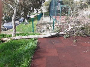 DEVRİLEN AĞAÇLARA BELEDİYE EKİPLERİNDEN MÜDAHALE