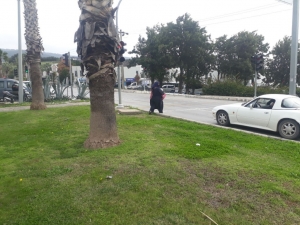 ZABITA EKİPLERİ HURDACI VE DİLENCİ DENETİMİNDE