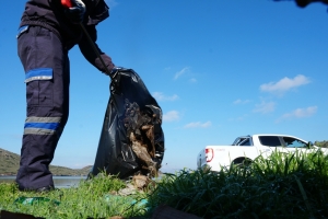 KEDİLER BESLENİP SAHİLDE TEMİZLİK ÇALIŞMASI YAPILDI