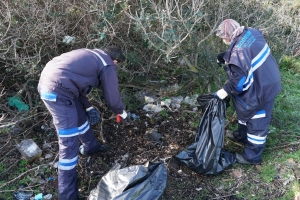 KEDİLER BESLENİP SAHİLDE TEMİZLİK ÇALIŞMASI YAPILDI