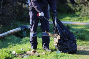 KEDİLER BESLENİP SAHİLDE TEMİZLİK ÇALIŞMASI YAPILDI