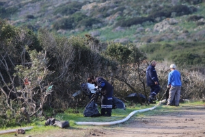 KEDİLER BESLENİP SAHİLDE TEMİZLİK ÇALIŞMASI YAPILDI